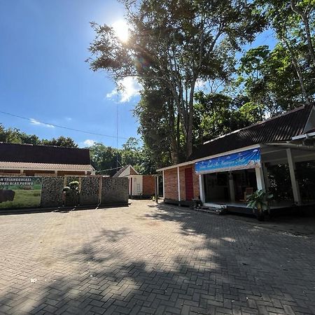 Capital O 92612 Penginapan D'Alas Purwo & Beachnearpadang Savana Sadengan Banyuwangi  Extérieur photo